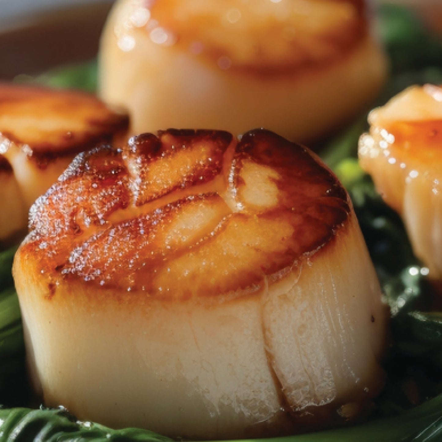 Jumbo Sea Scallops